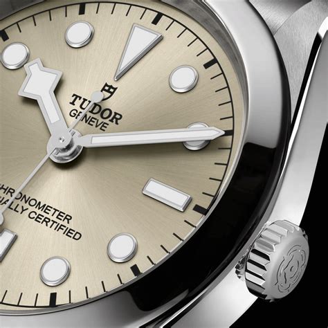 montres tudor black bay